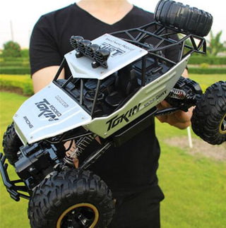 2.4G Radio Control RC Cars