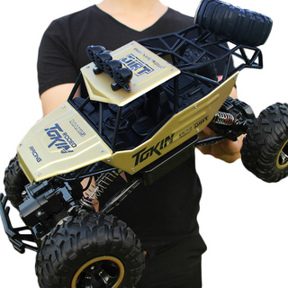 2.4G Radio Control RC Cars