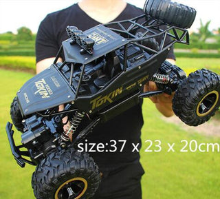 2.4G Radio Control RC Cars