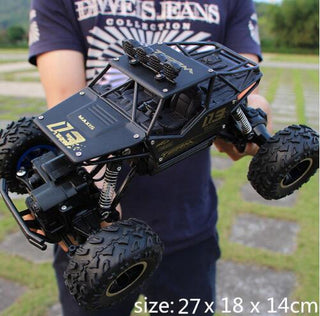 2.4G Radio Control RC Cars