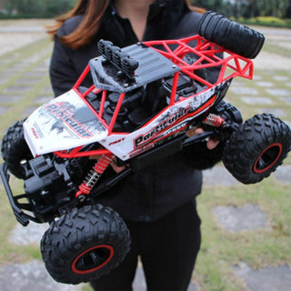 2.4G Radio Control RC Cars