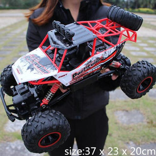 2.4G Radio Control RC Cars