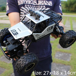 2.4G Radio Control RC Cars