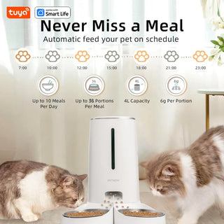 AutoSense Pet Feeder