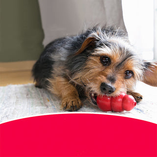 Bite-Resistant Rubber Treat Toy